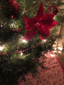 IMG_0555