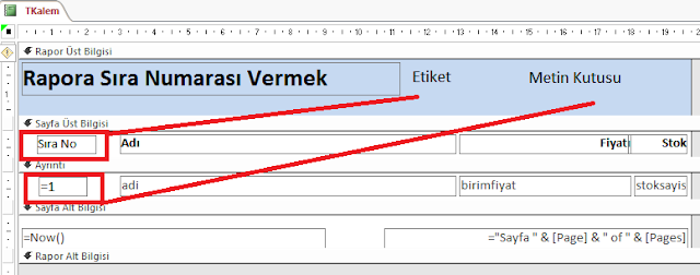 Raporlarda Kayıtlara Sıra Numarası Vermek