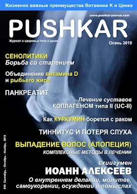 ЖУРНАЛ PUSHKAR №10 ОСЕНЬ 2019.