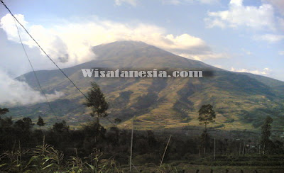 Gunung Merapi