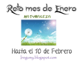 http://iregumy.blogspot.com.es/2014/01/reto-mes-de-enero-naturaleza.html