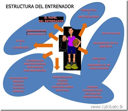 estrutura del entrenador