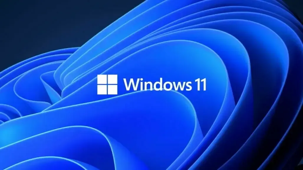 Windows 11 Pro 64-Bit ISO