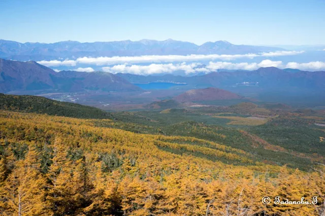 カラマツの紅葉と富士山五合目・御中道からの景色