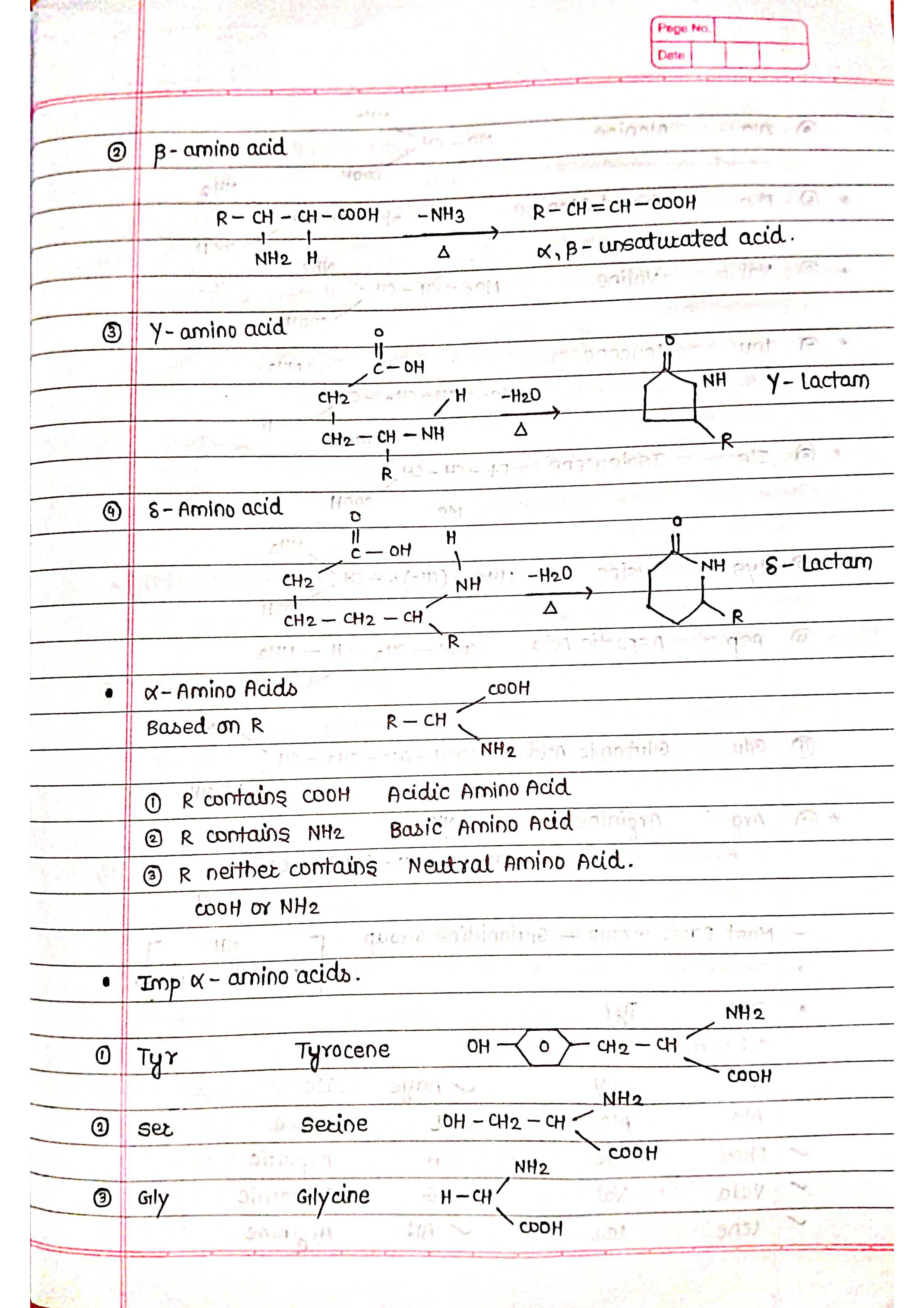 Handwritten Biomolecule - Short Notes 📚