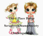 3de plaats Scrapbook Stamp Society