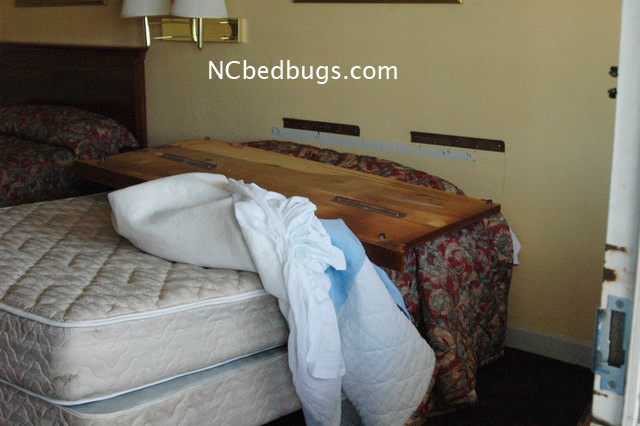 hotel inspection - bed bugs in Wilmington, NC | NC Bed Bugs
