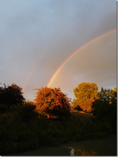 10 double rainbow