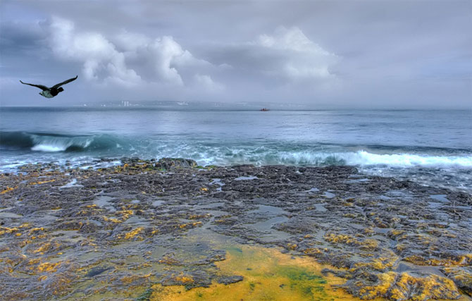 Fotografías de Jorge Armando