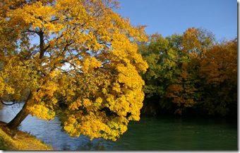 Nov 013
