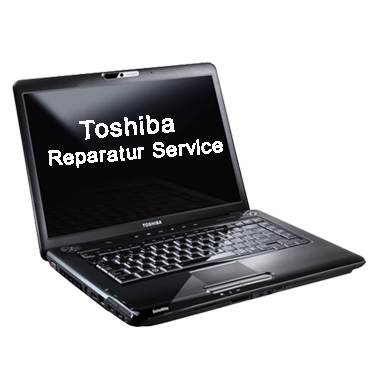 Toshiba reparatur service
