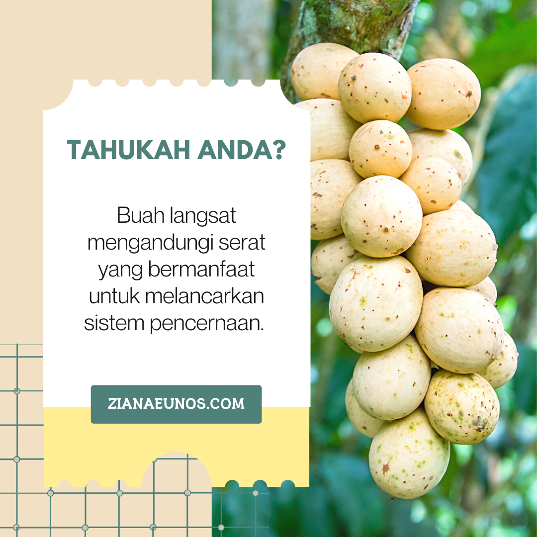 Kebaikan buah langsat