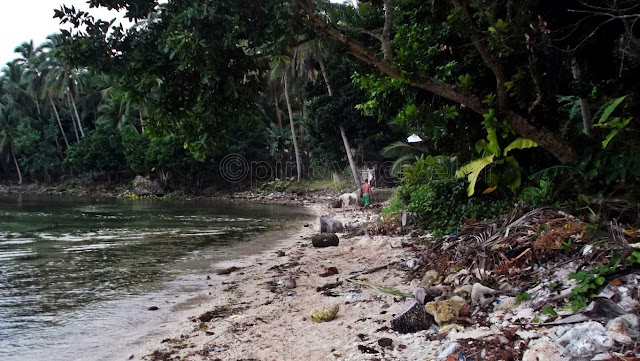 after the sea bath, man and horse walked to dry land at San Antonio Island Northern Samar