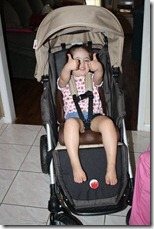 IMG_3803 IMG_3803
