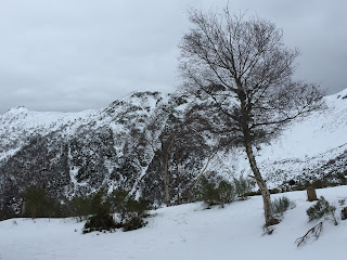 Ancares, Three Bishops Peak  by E. V. Pita (2015)  http://evpita.blogspot.com/2016/01/ancares-three-bishops-peak-los-ancares.html   Los Ancares, pico 3 obispos   por E. V. Pita (2015)   Os Ancares, cumio dos Tres Bispos  http://evpita.blogspot.com/2016/01/ancares-three-bishops-peak-los-ancares.html