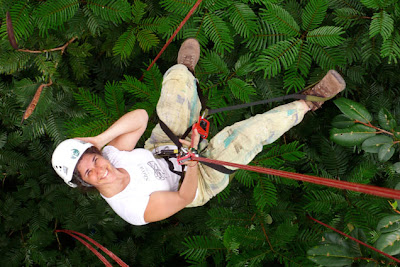 Amazon Tree Climbing