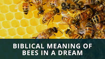 Bees in dreams – Interpretation and Meaning