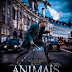 Animais Fantásticos e Onde Habitam 2017 [1080p] - Torrent Download