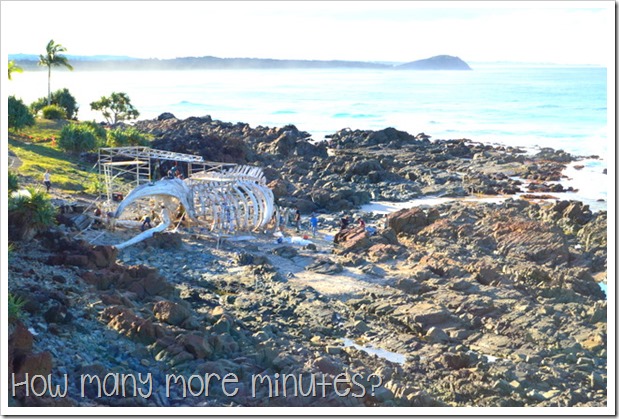 Hastings Point, NSW | How Many More Minutes?
