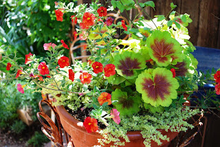 container gardening ideas for flowers
