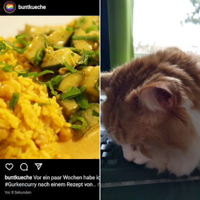 Screenshot eines Instagram Beitrags zum neuen Rezept, Daneben Neo, wie er halb auf der Tastatur liegt.