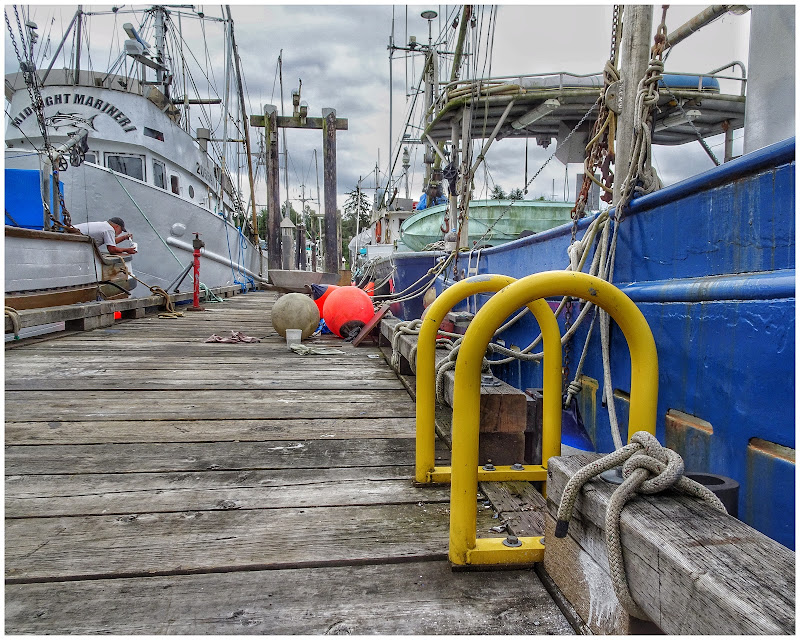 Deep Bay dockside details and colours (2020-06-27)