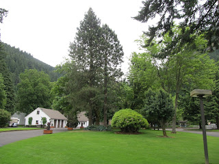 Bonneville Fish Hatchery, near Portland, Oregon