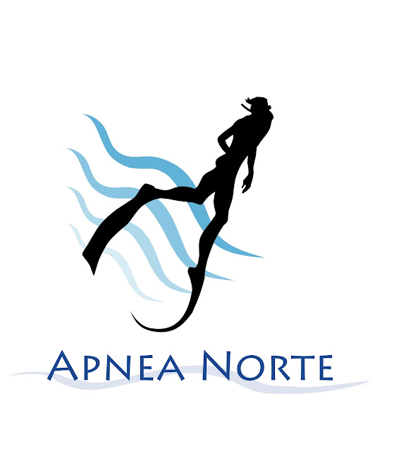 Logotipo inicial APNEA NORTE