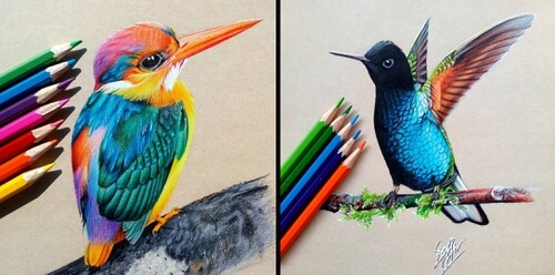 00-Pencil-Bird-Drawings-Bele-www-designstack-co