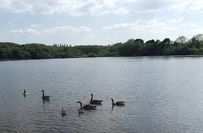 Yorkshire, Worsbrough Mill