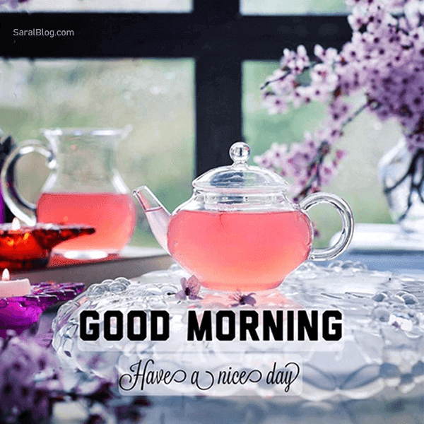 Best Good Morning Suvichar, Quotes, Text Message in Gujarati