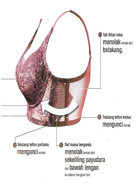 elken dx,long bra,bra elken,lizaelken,korset elken