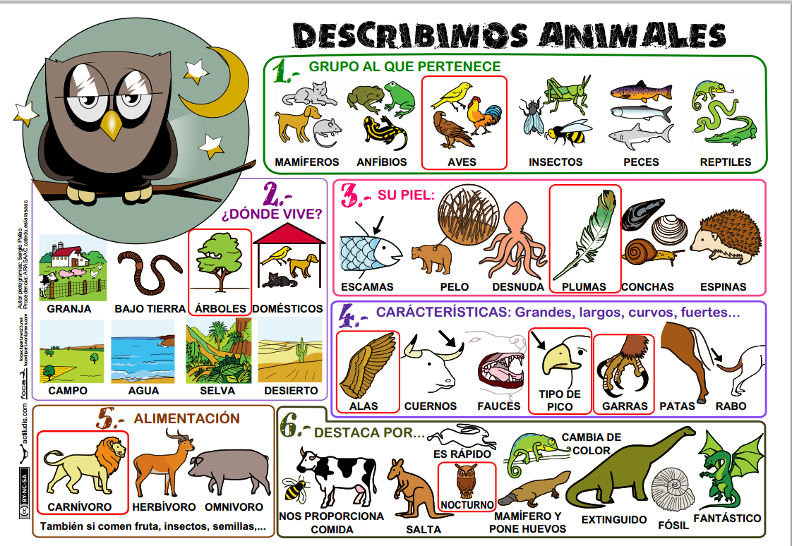 https://dl.dropboxusercontent.com/u/6343438/3%C2%BA/Describir-Animales.pdf