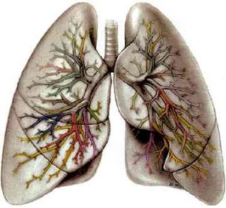lung cancer disease