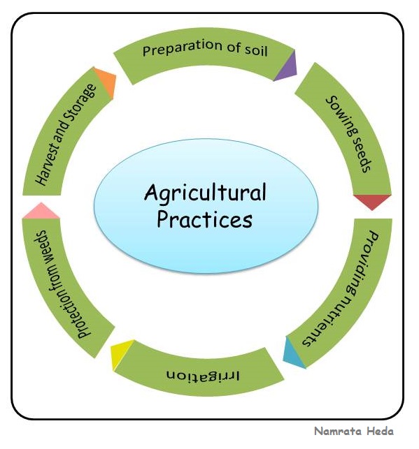 B for Biology: Crop Production and Management (Part II)