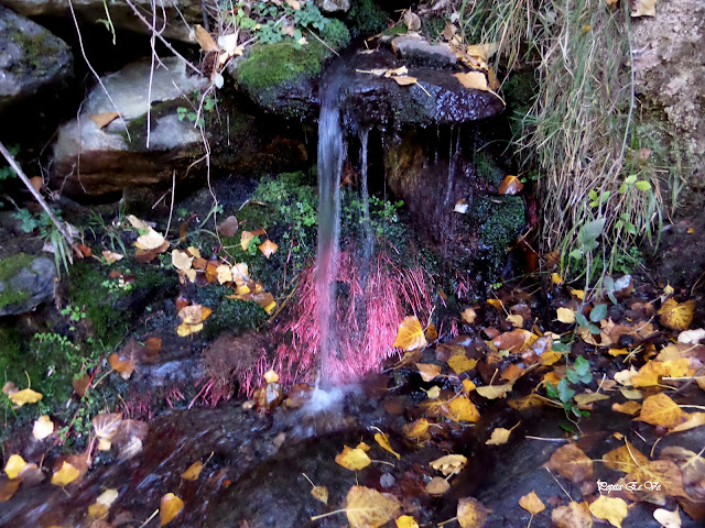 Fuente el Chortal, Otoño, senderismo, Jérez del Marquesado