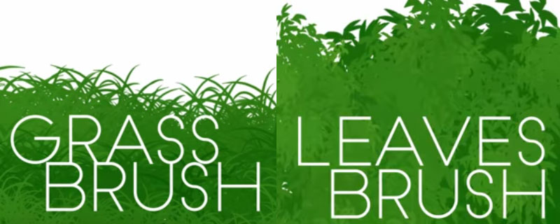 Photoshop Custom Leaf Grass Brush Tutorial