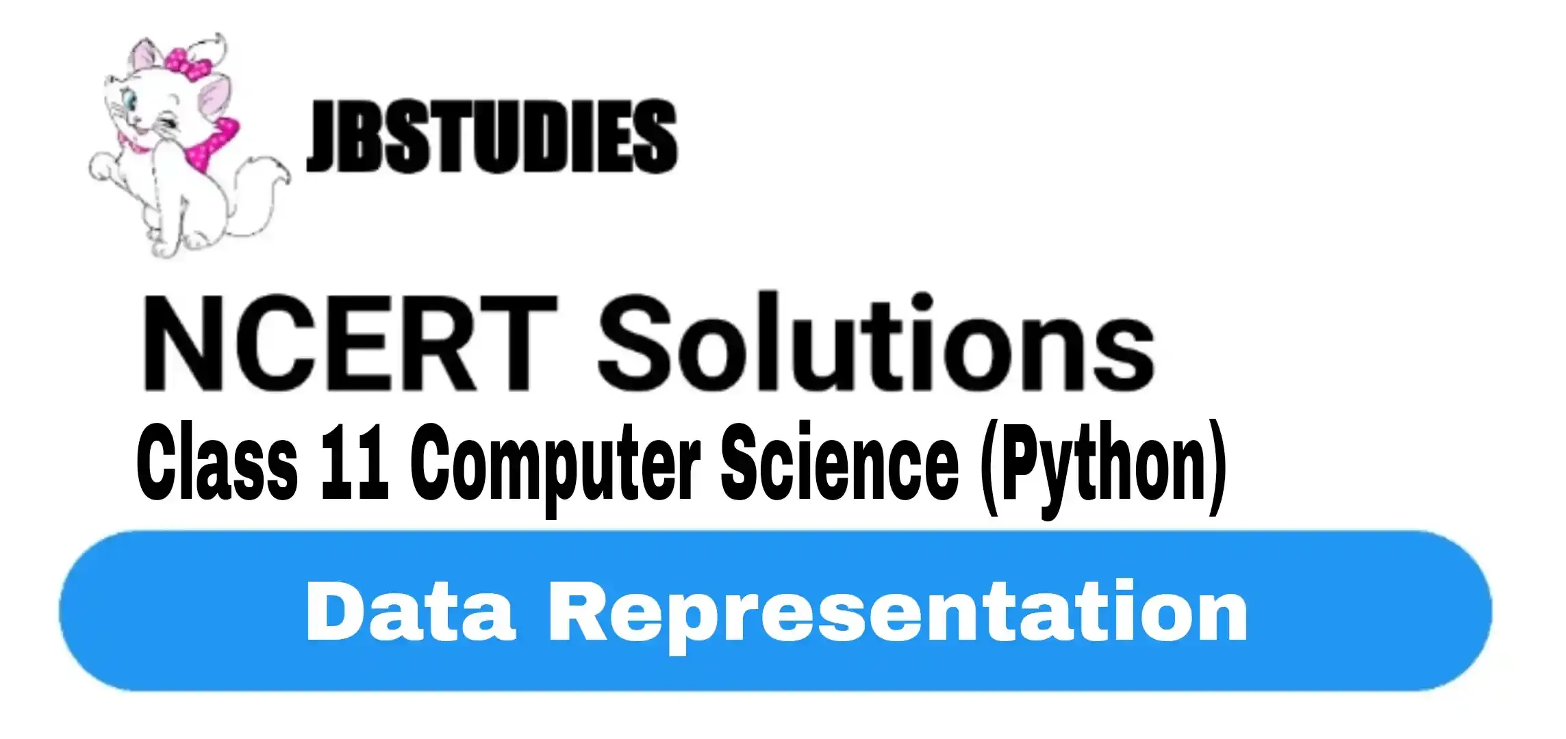 Solutions Class 11 Computer Science (Python) Chapter-3 (Data Representation)