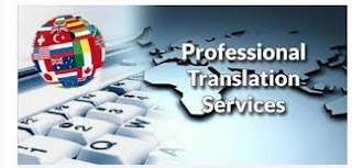  Professional translation services