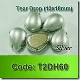 T2DH60 copy