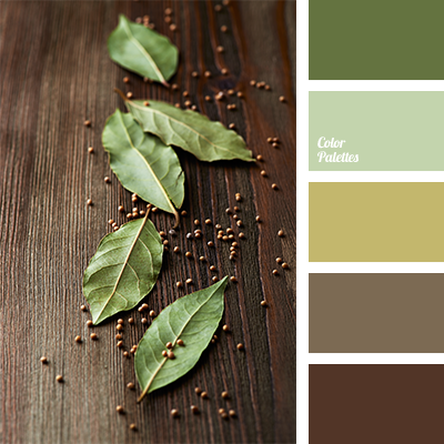 Color Palette 1235 Color Schemes