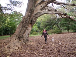 Cãonhecendo 6 (197)