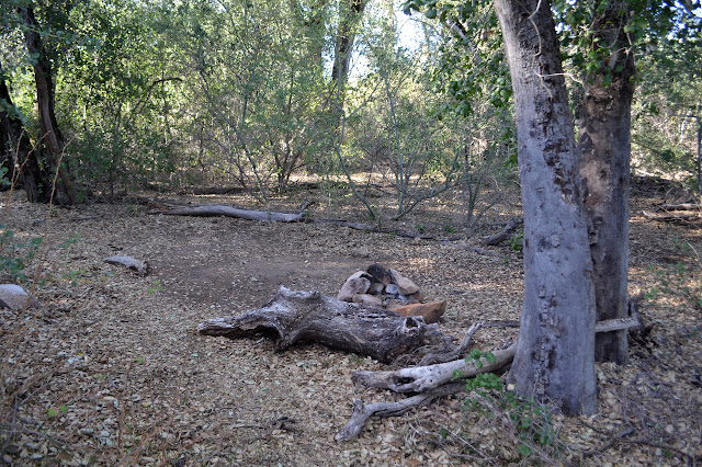 campsite at the junction