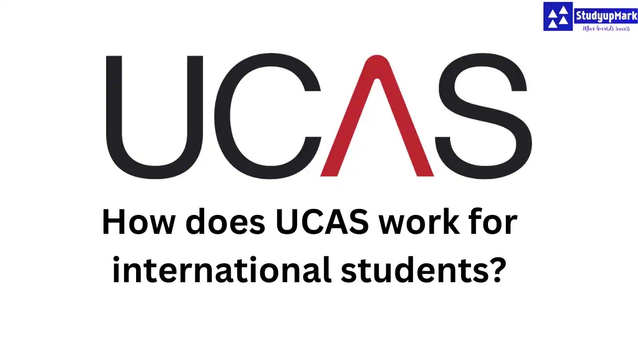 Why are UCAS points are important for students: