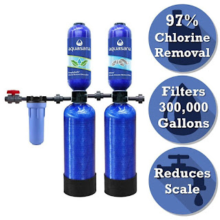 Whole House Water Filtration System