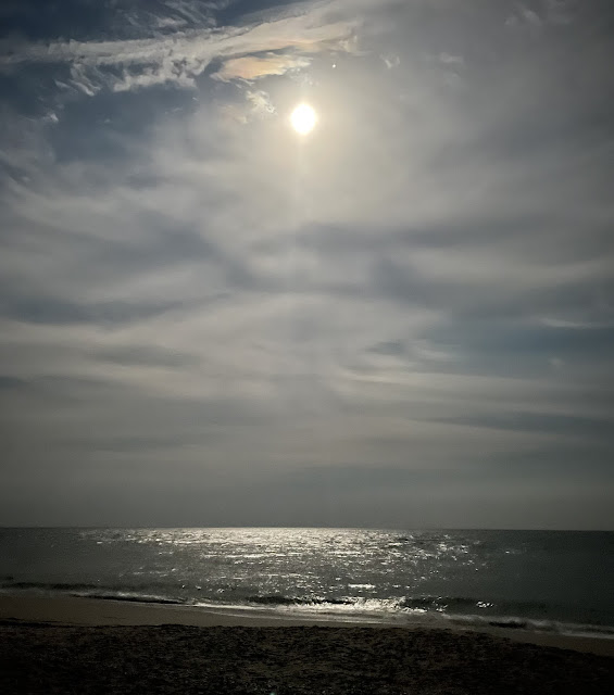 Our first night walk. The moon was on full display, but there were clouds moving in to cover it up. The moon was still able to illuminate both the ocean and the beach making it seem like there was a light on.