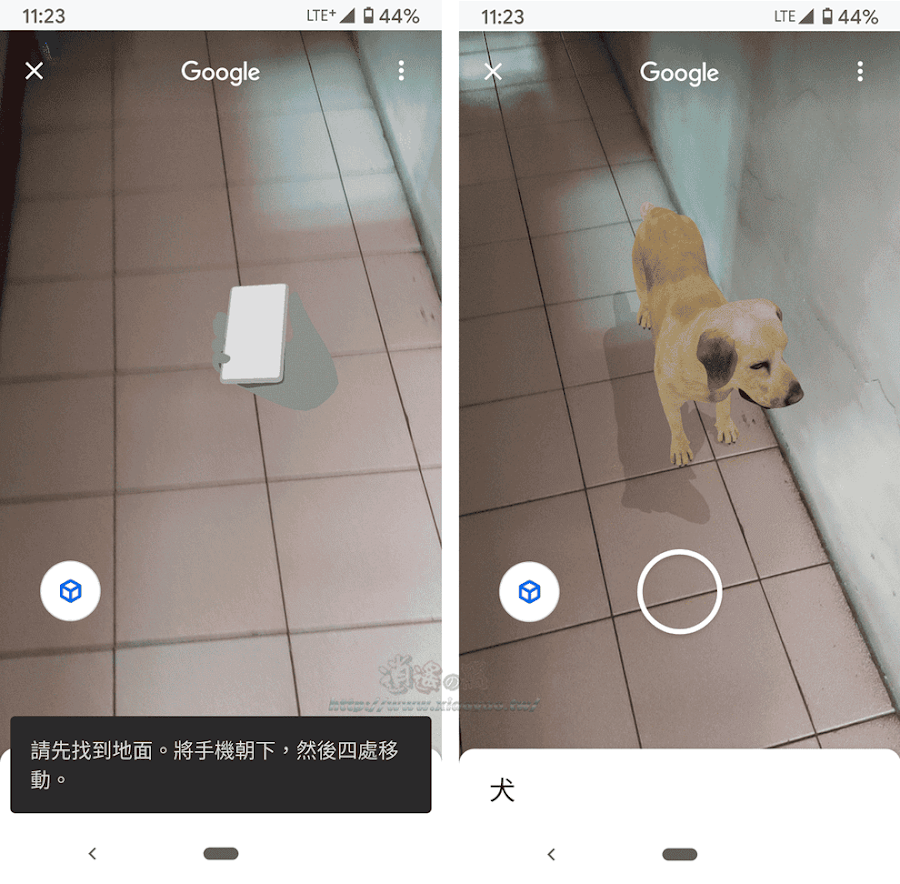 Google 搜尋召喚 AR 動物