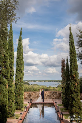 bride and groom holding hands at the end pf the reflection pool