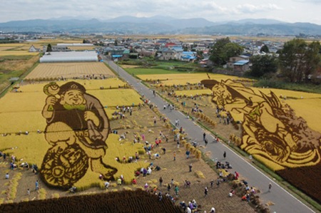 rice-paddy-art2