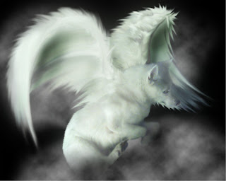 white wolf anime wallpaper wolve